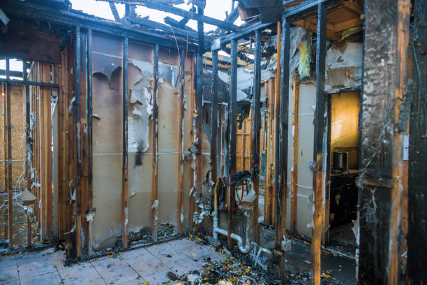 Professional Fire Damage Assessment technician working in Roselle, NJ